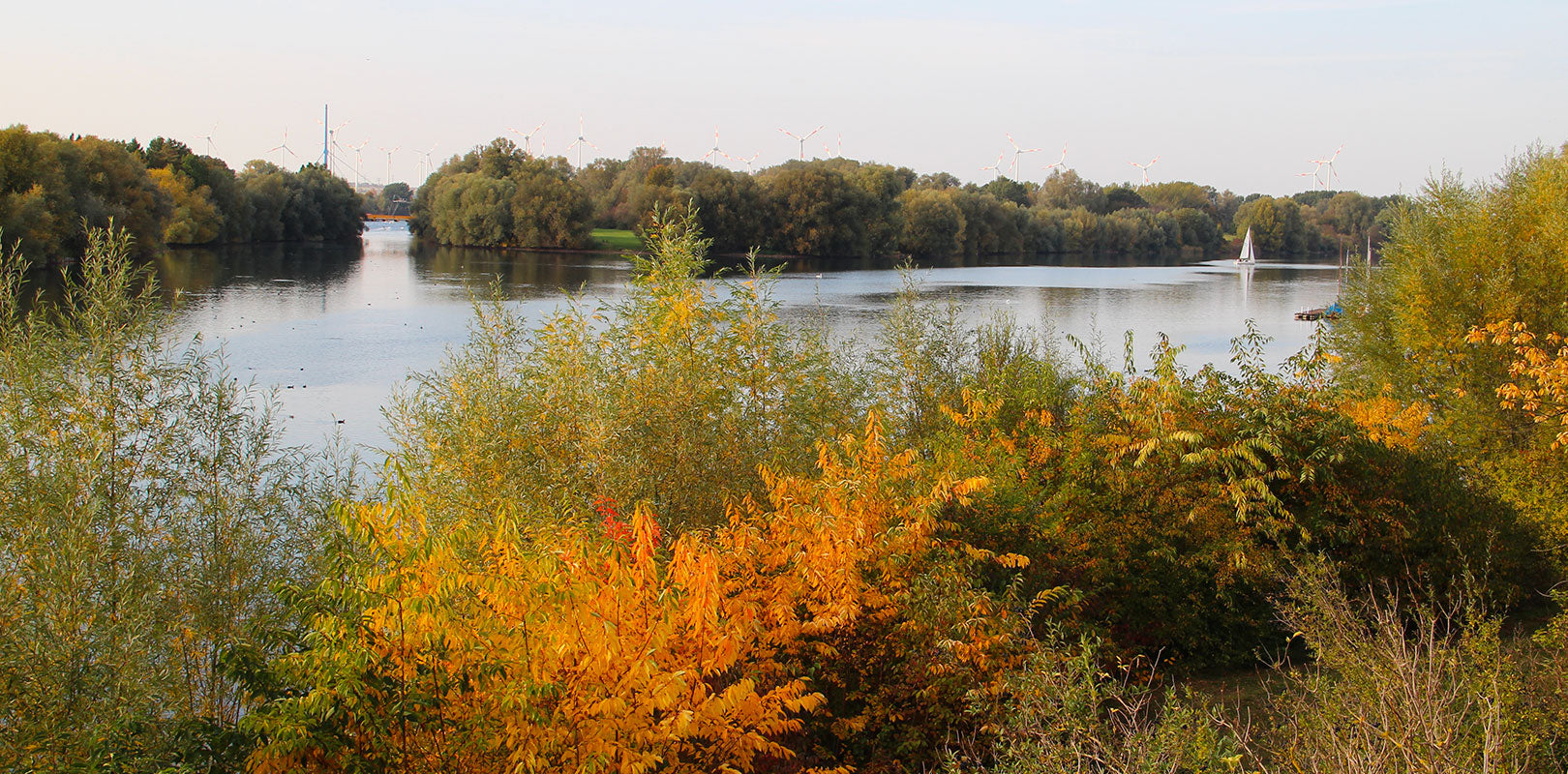 Torten nach Salzgitter bestellen!