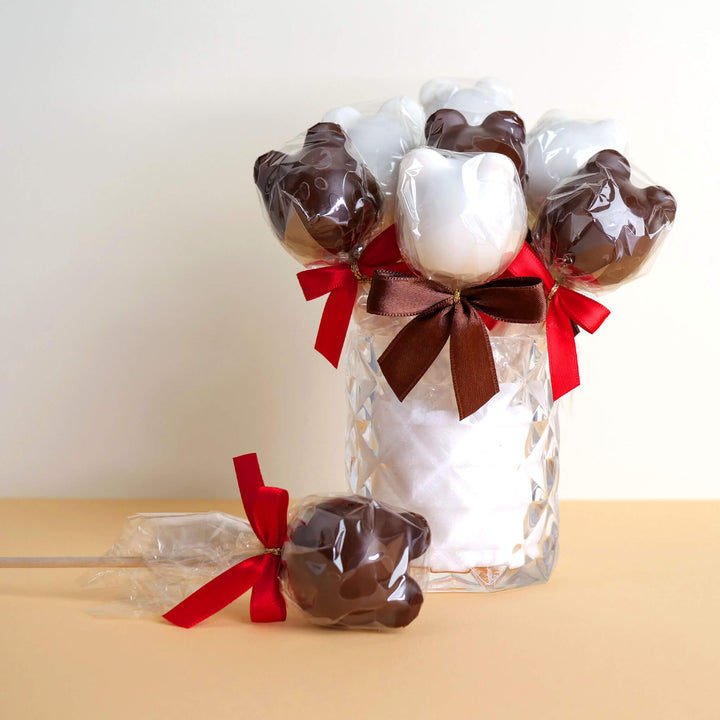 Cake-Pops oursons (12 pièces)