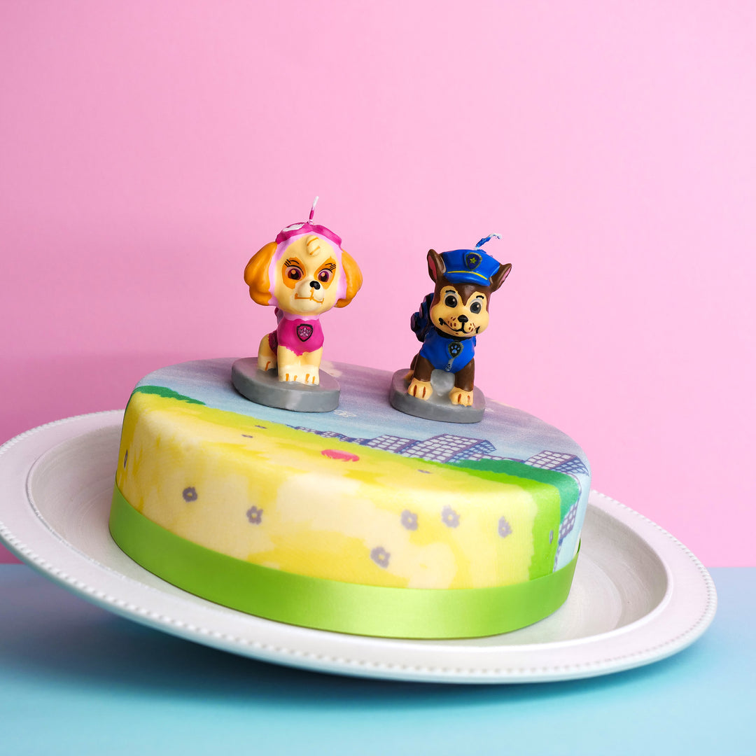 La Pat’Patrouille® sur gâteau prairie colorée